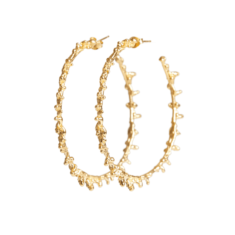 Shop Luxury Gold Hoop Earrings - Seen in Vogue Small