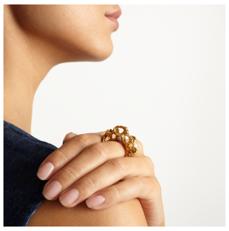 Holes Gold Ring Lenique Louis