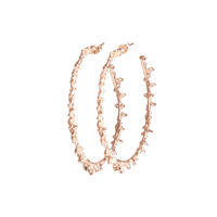 SHOP Luxury Gold Hoop Earrings - Seen In Vogue – Lenique Louis